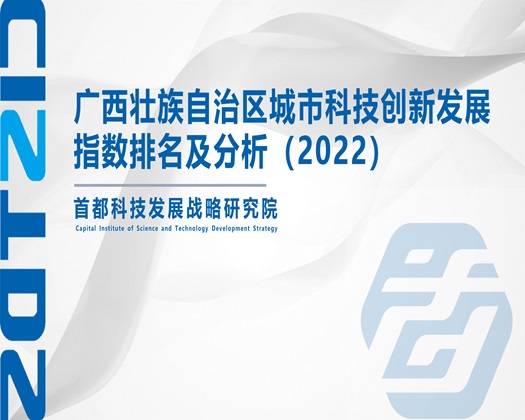 好大好粗快操我的视频【成果发布】广西壮族自治区城市科技创新发展指数排名及分析（2022）